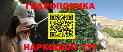 spice Брянск