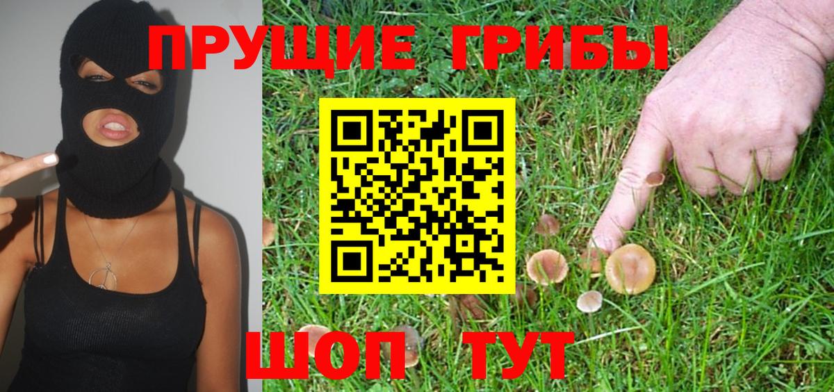 наркота  Галлюциногенные грибы MAGIC MUSHROOMS  Вход с VPN  Псилоцибиновые грибы мицелий  Смоленск 